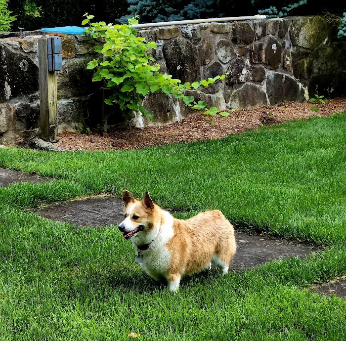 Norwalk Animal Hospital 12