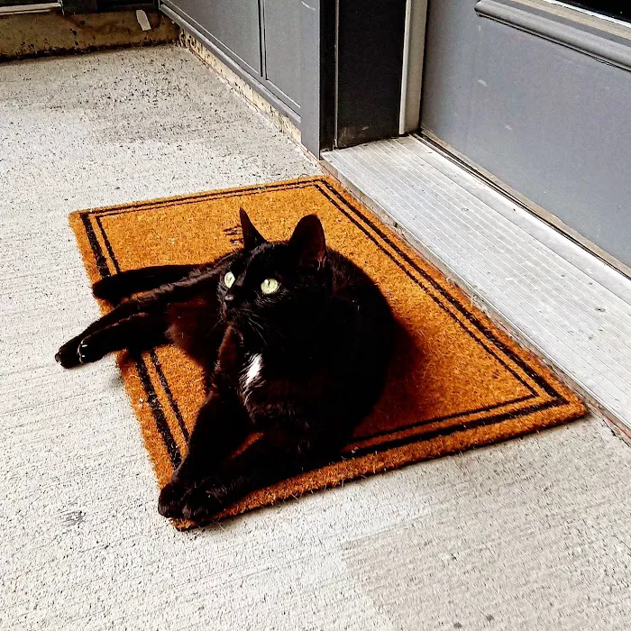 VCA Veterinary Referral and Emergency Center 12
