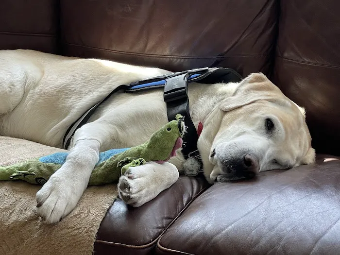 VCA Veterinary Referral and Emergency Center 12