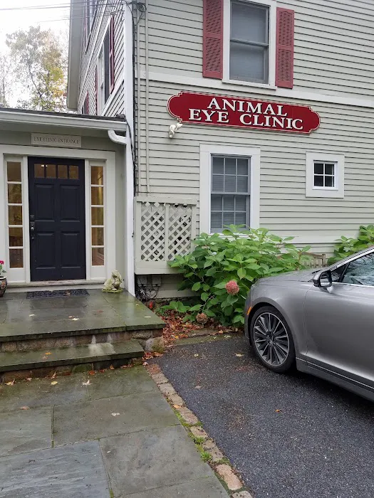 Animal Eye Clinic Wilton 12