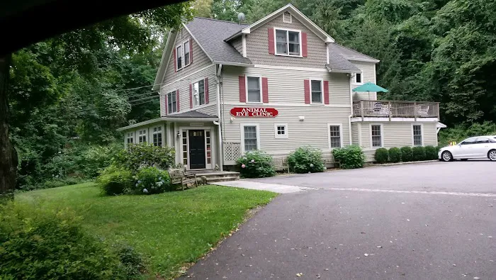 Animal Eye Clinic Wilton 12