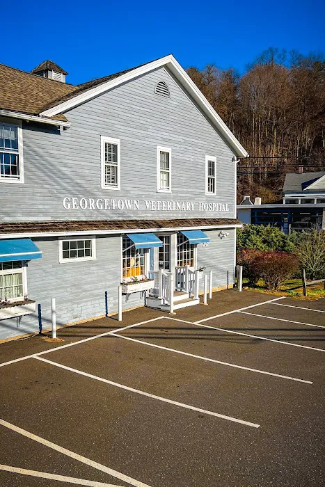 Georgetown Veterinary Hospital 12