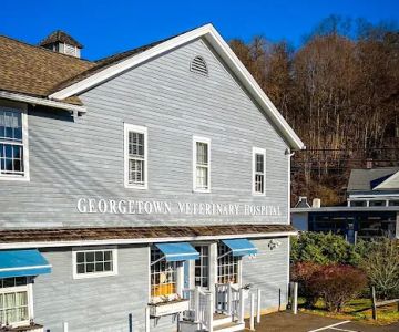 Georgetown Veterinary Hospital