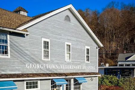 Georgetown Veterinary Hospital