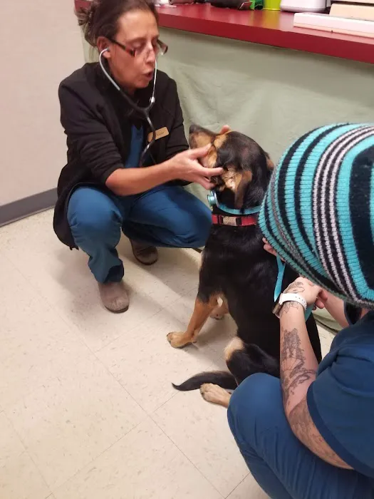 Redding Veterinary Hospital 12