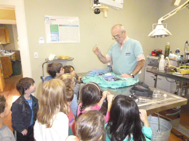 Animal Doctor of Weston 12