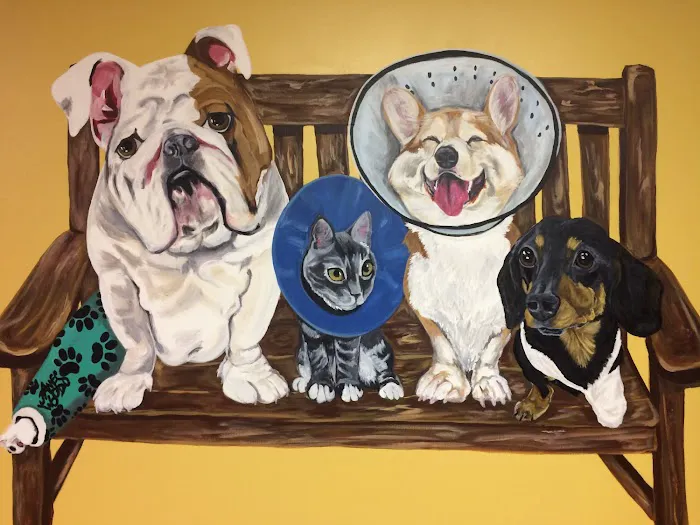 Animal Doctor of Weston 12