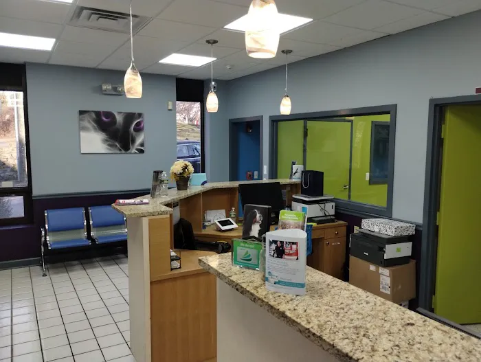 Value Pet Vet 12