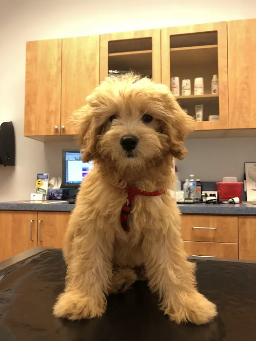 United Veterinary Center Norwalk 12