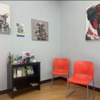 United Veterinary Center Norwalk ico