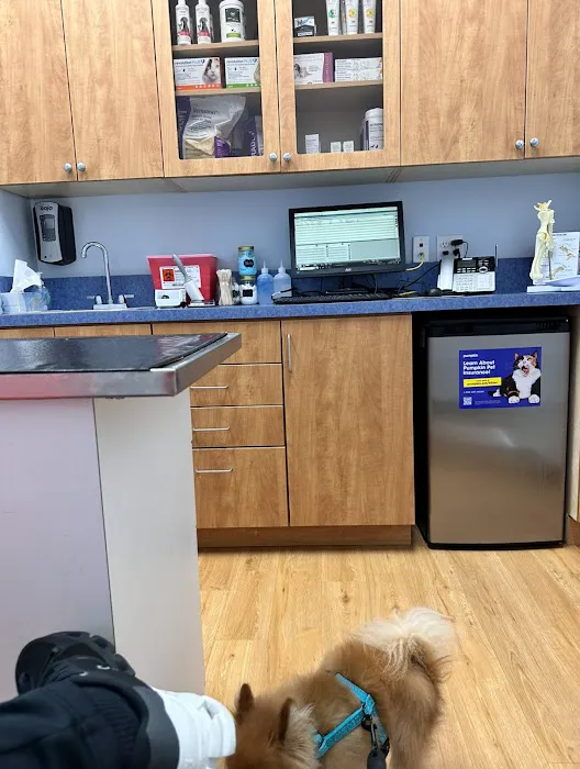 United Veterinary Center Norwalk 12