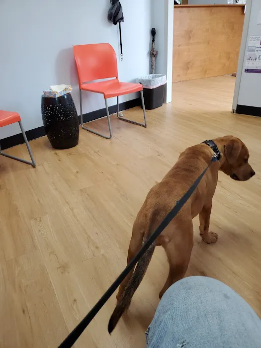 United Veterinary Center Norwalk 12
