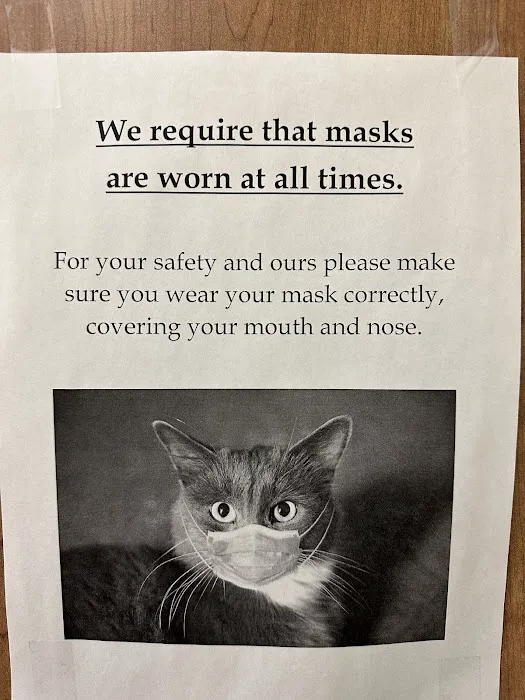 A Cat's Place 12