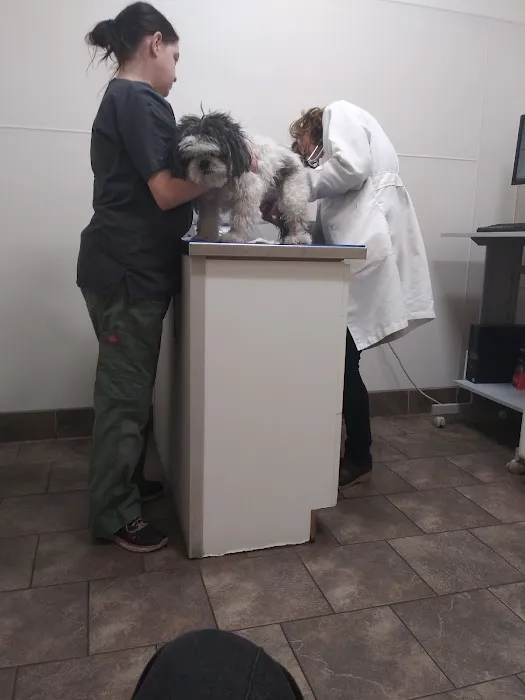 Strawberry Hill Animal Hospital 12