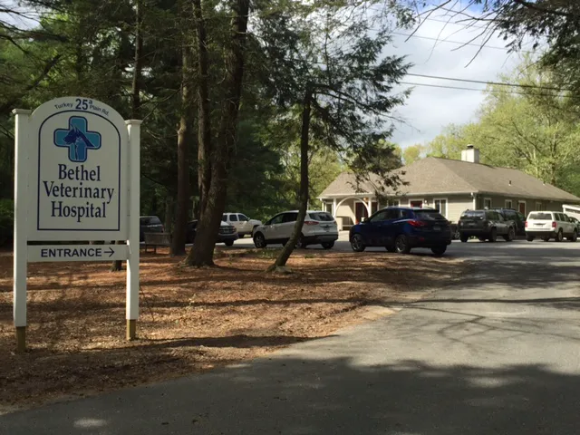 Bethel Veterinary Hospital 12