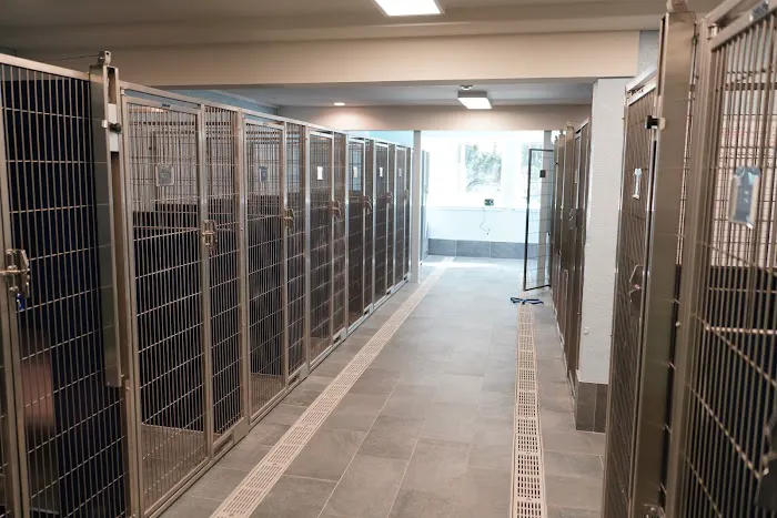 Bethel Veterinary Hospital 12