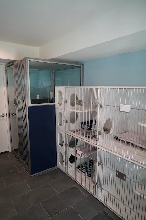 Bethel Veterinary Hospital 12