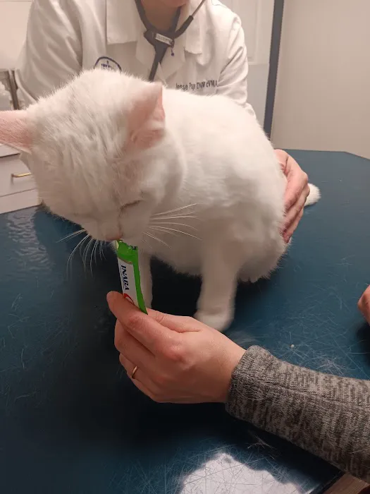 Lake Katrine Animal Hospital 12