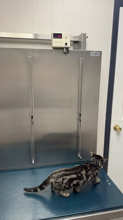 Lake Katrine Animal Hospital 12