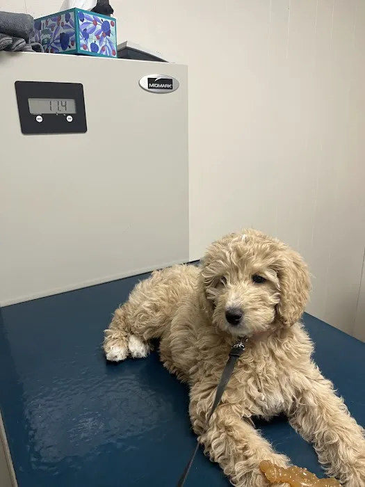 Lake Katrine Animal Hospital 12