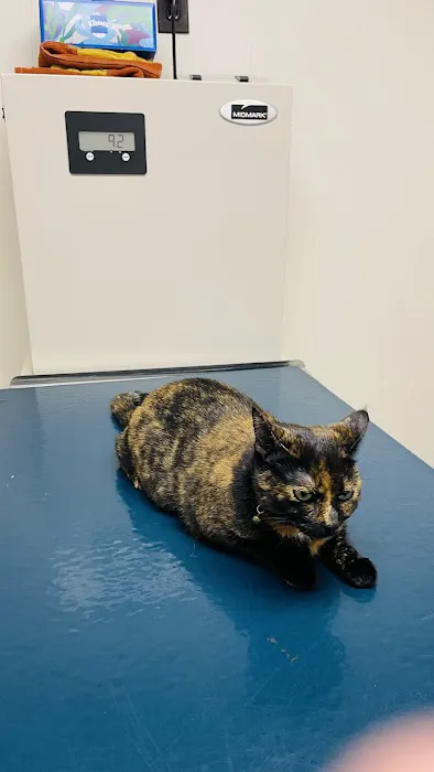 Lake Katrine Animal Hospital 12