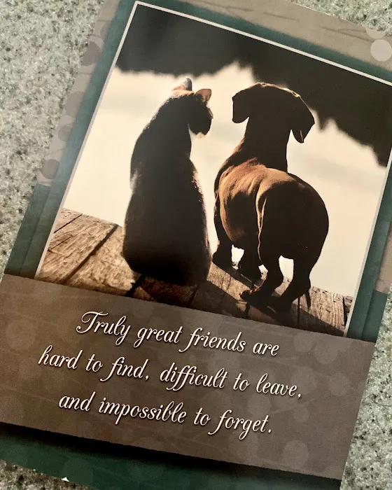 Better Lives Animal Hospital / Dr. Edward Decort 12