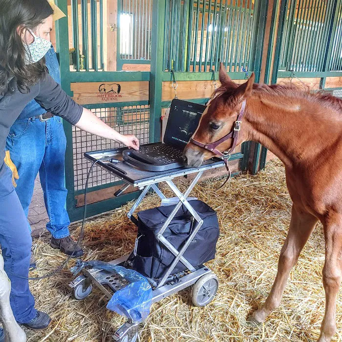 Millbrook Equine Veterinary Clinic, PC 6