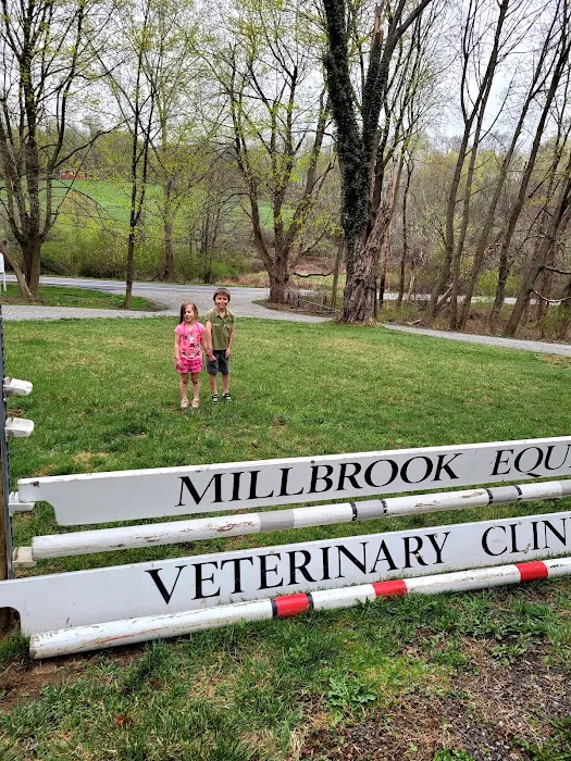 Millbrook Equine Veterinary Clinic, PC 2