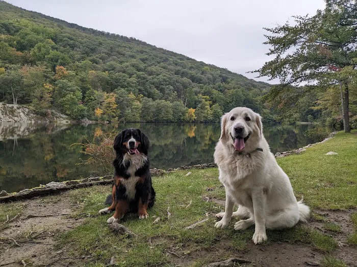 Harlem Valley Animal Clinic 4