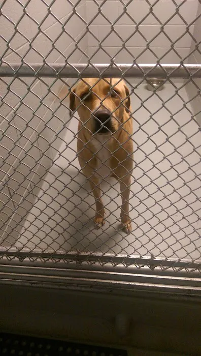 Harlem Valley Animal Clinic 2