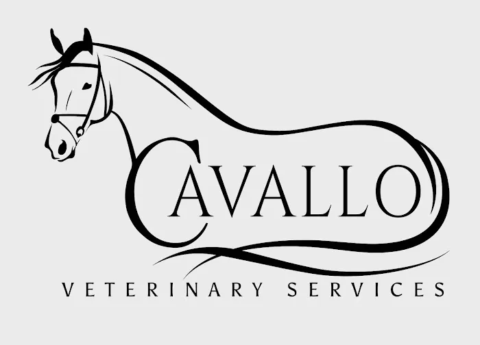 Cavallo Veterinary Services - Andrea Sotela, DVM 12