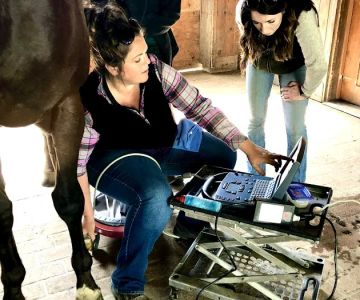 Cavallo Veterinary Services - Andrea Sotela, DVM