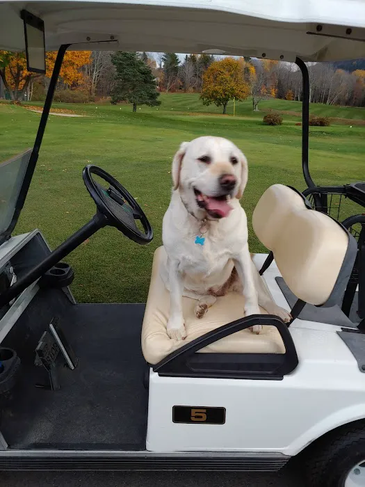 Saugerties Animal Hospital 12