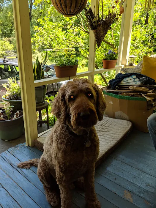 Saugerties Animal Hospital 12
