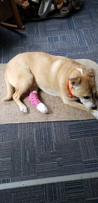 Saugerties Animal Hospital 12
