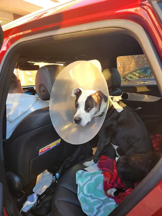 Saugerties Animal Hospital 12