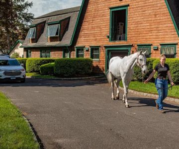 Fairfield Equine Associates