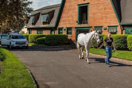 Fairfield Equine Associates