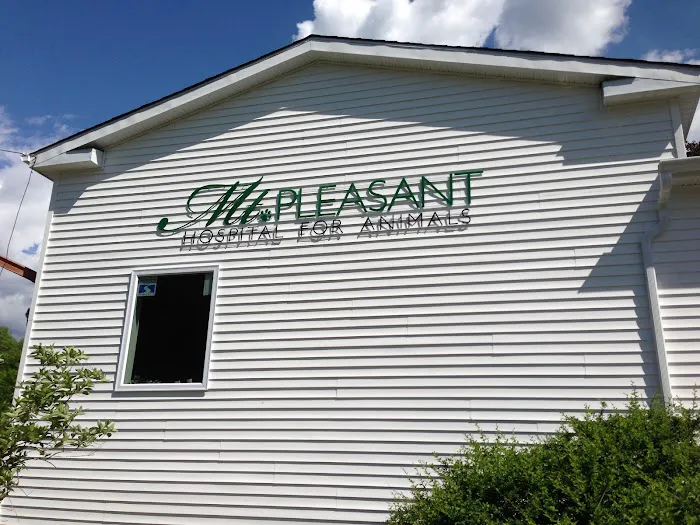 Mt Pleasant Hospital for Animals 12
