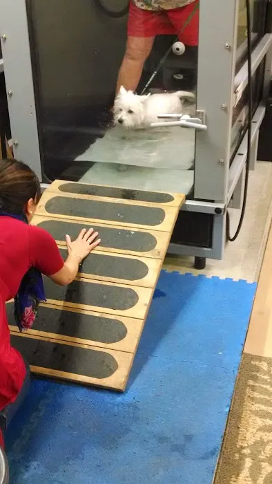 Paws and Paddle Canine Conditioning 12
