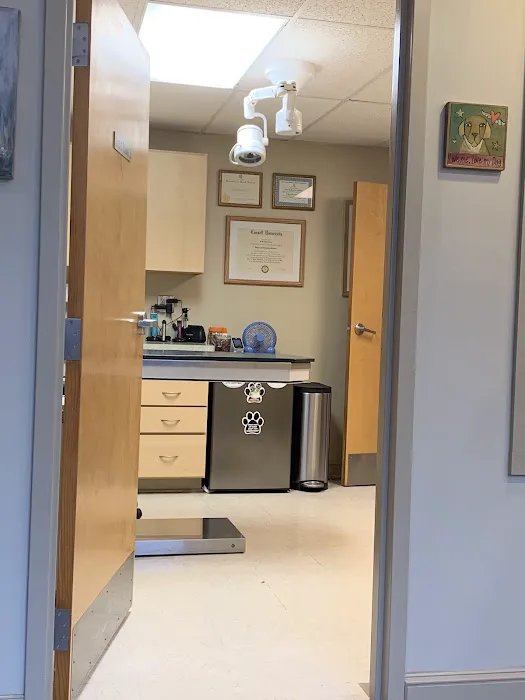 Davis Companion Animal Hospital 12