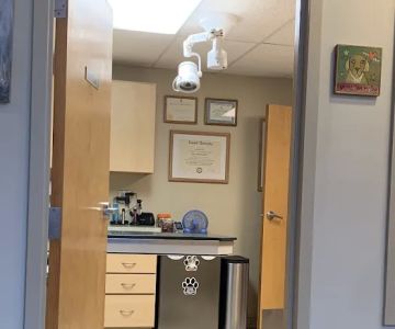 Davis Companion Animal Hospital