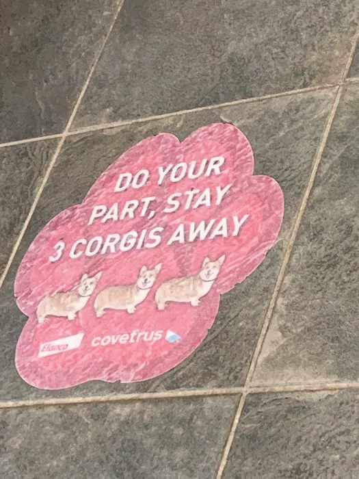 Davis Companion Animal Hospital 12