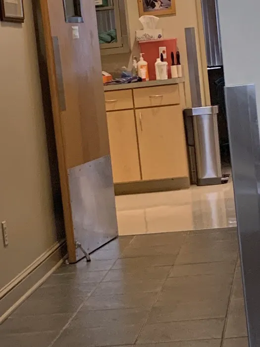 Davis Companion Animal Hospital 12