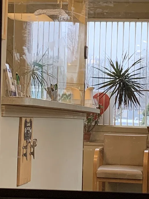 Davis Companion Animal Hospital 12