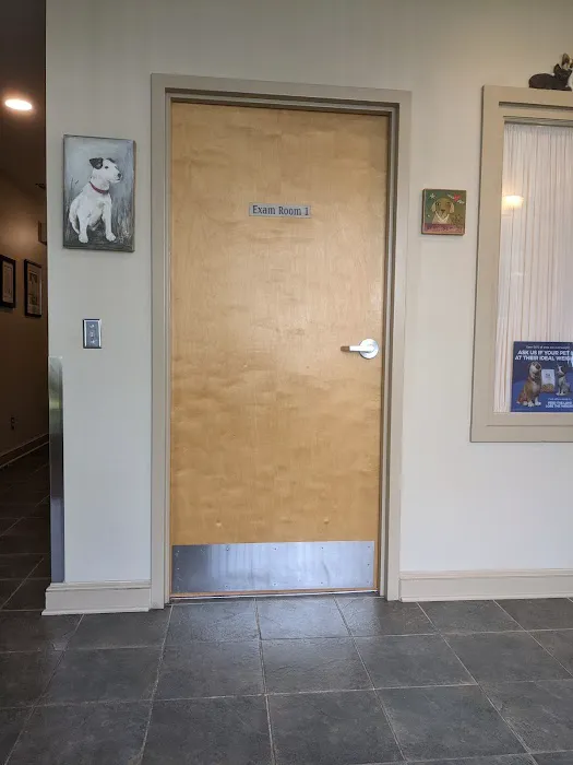 Davis Companion Animal Hospital 12