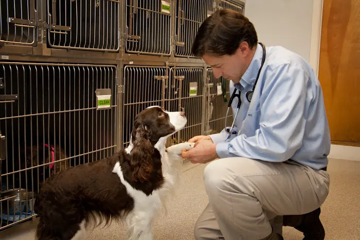 Aspetuck Animal Hospital 2