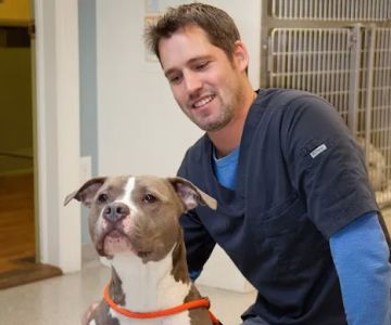 Aspetuck Animal Hospital