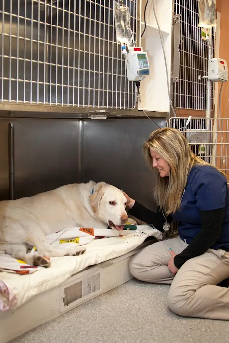 Aspetuck Animal Hospital 3