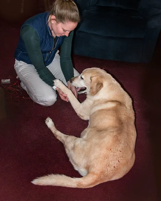 Tailored Veterinary Care 12